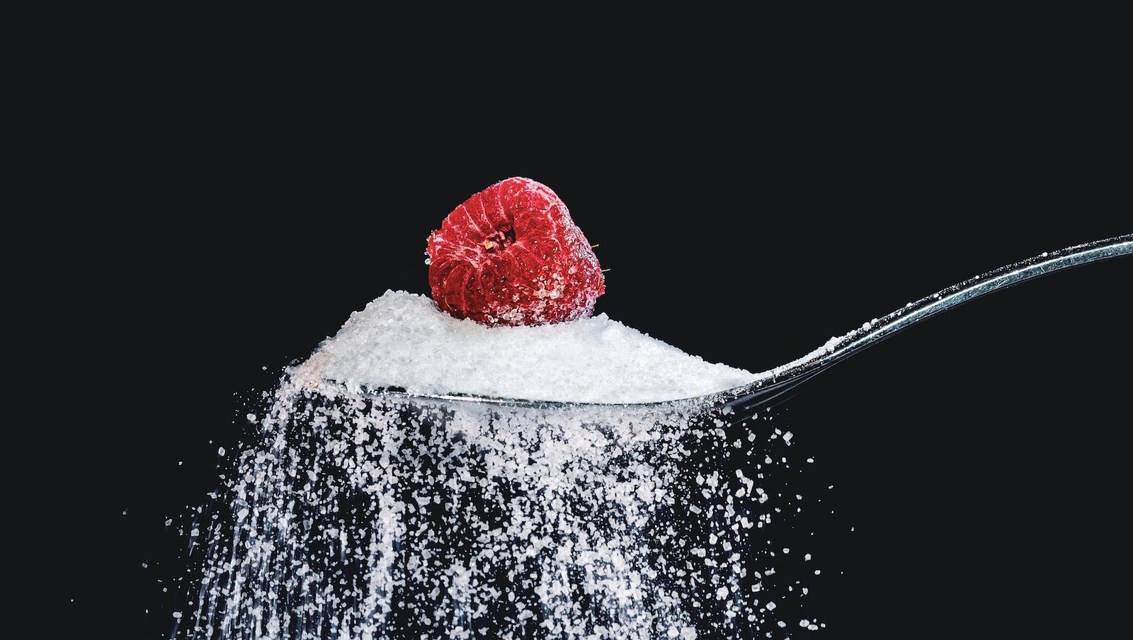 Raspberry on a spoonful of sugar against a dark background, highlighting contrast between red berry and white sugar grains